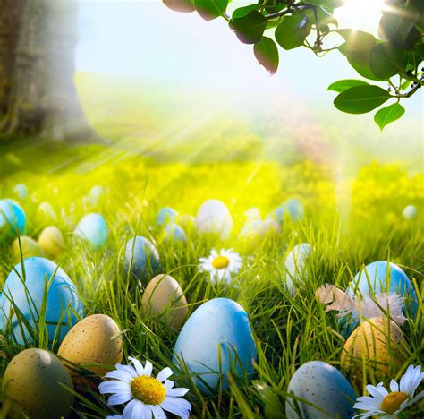 Easter Spring Wallpaper - WallpaperSafari