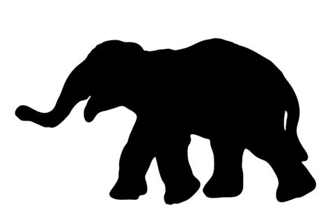 Elephant Silhouette Free Stock Photo - Public Domain Pictures