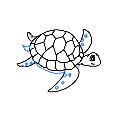 How to Draw a Sea Turtle - Step by Step Easy Drawing Guides - Drawing ...