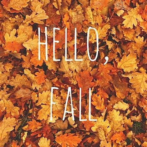 Hello Fall Pictures, Photos, and Images for Facebook, Tumblr, Pinterest ...