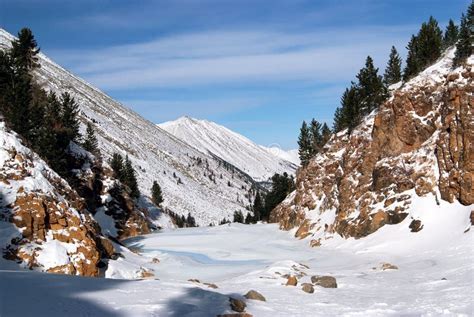 Winter Waterfall and Tree in Jiuzhaigou Stock Photo - Image of fairy ...