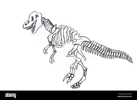 Dinosaur Skeleton Drawing