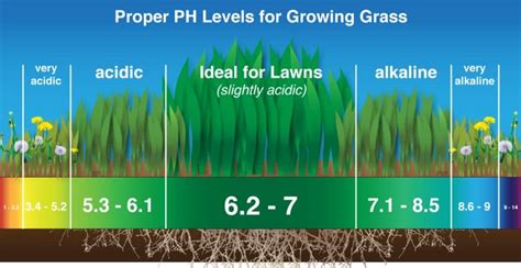 DIY Soil Ph Meter using Soil Ph Sensor and Arduino