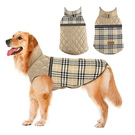 The 10 Best Dog Coats for Winter in 2022 Reviews