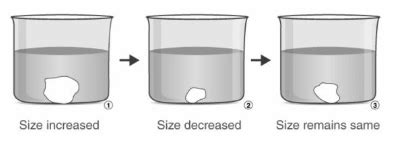 What is a Hypotonic Solution? - BYJU'S