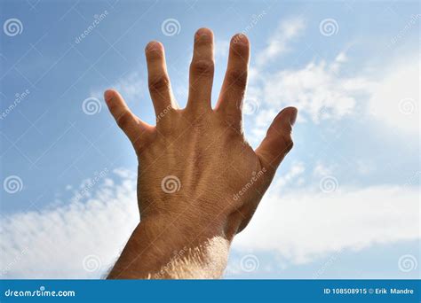 Hand Reaching To the Sky. Hand Reaching Towards the Sky Stock Image ...