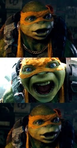 Ninja Turtle Meme Face Ninja Turtle Meme Face - 20yearsandout