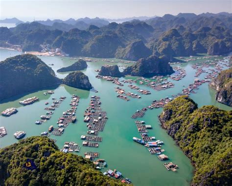 Join Us For The Ultimate Ha Long Bay Cruise Adventure