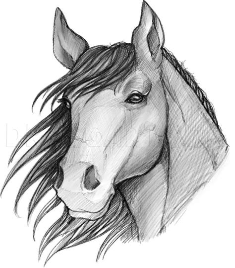 25 Easy Horse Drawing Ideas – How To Draw A Horse in 2022 | Easy horse ...