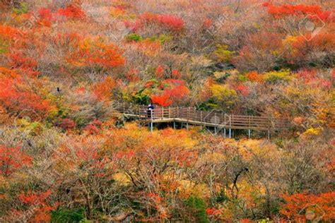 Jeju autumn itinerary — 6 best places to visit & top things to do in ...