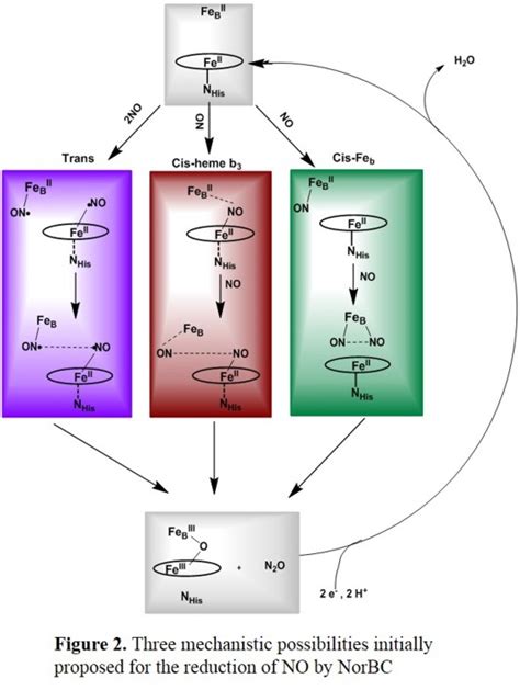 Denitrification Equation