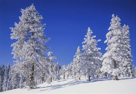 Lake Tahoe Winter Activities | Tahoe Rental Company