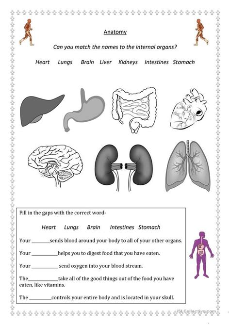 Human Body Parts Worksheet For Grade 1