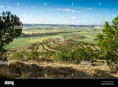 Camino de santiago spain meseta plateau hi-res stock photography and ...