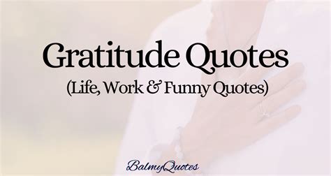 35+ Gratitude Quotes (Quotes to Brighten Your Day)