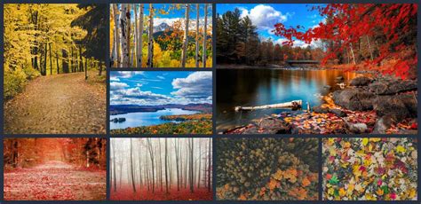 Best Autumn Collage Wallpapers - Wallpaper Cave