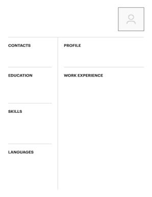 Professional Engineer Resume Template - Fill, Edit, Sign, Download ...