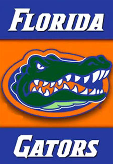 Download High Quality university of florida logo mascot Transparent PNG ...