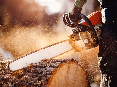 Chainsaw Brands: Gas & Electric - Timber Gadgets