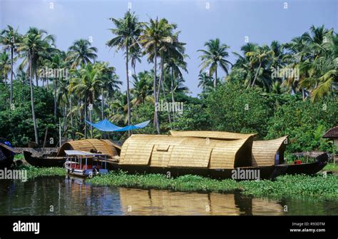 Backwaters, Allepy, Kerala, India Stock Photo - Alamy