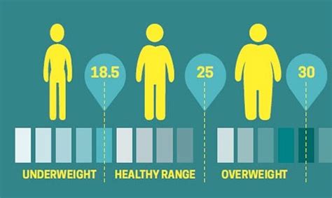 Healthy Weight Range Chart for Women & Men By Height | WW NZ