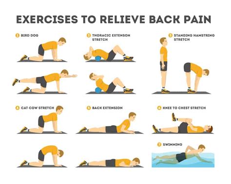 Physiotherapy Exercises for Lower Back Pain | Top 11 Exercises