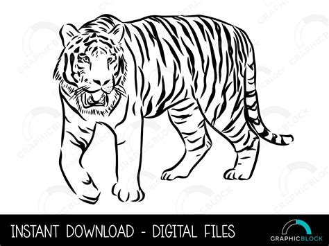 Tiger SVG 2, Tiger Stencil PNG, Wild Cat Vector, Cricut Cut File ...