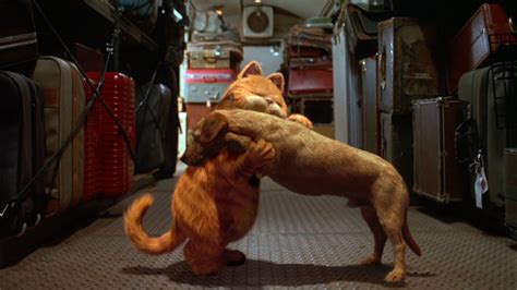 Image - Garfield reuniting with Odie.jpg | Heroes Wiki | FANDOM powered ...