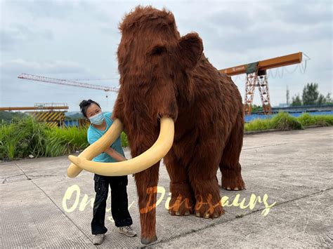 Realistic Two Person Mammoth Costume