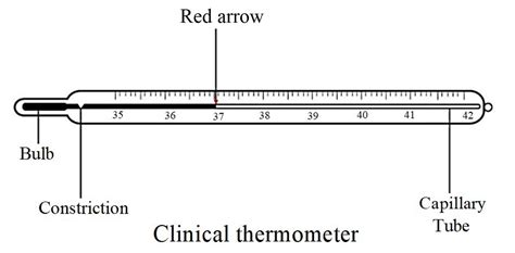 Digital Clinical Thermometer Circuit Diagram Thermometer Cli