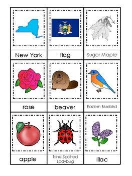 New York State Symbols themed 3 Part Matching Game. Preschool Card Game.