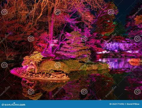 Japanese Gardens of the Fort Worth Botanic Gardens Illuminated by ...