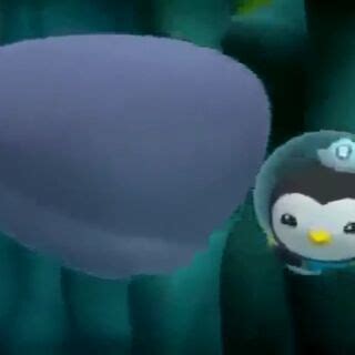 The Scared Sperm Whale/gallery | Octonauts Wiki | Fandom