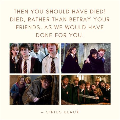 Harry Potter Friendship Quotes 8 | QuoteReel