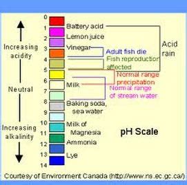 Phenol Red - History