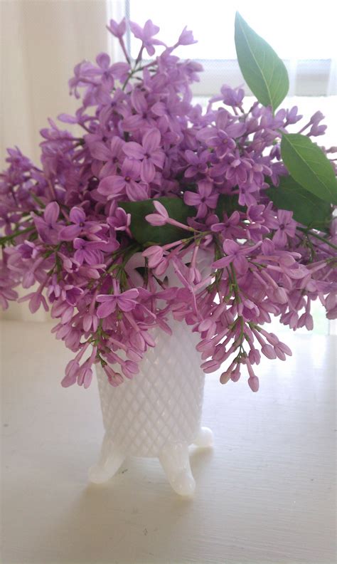 Lilac Love - Giggle Living