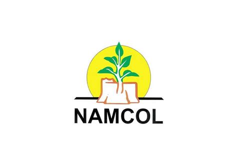 NAMCOL to Engage E-Learning – COMOSAConnect – Share your Open Schooling ...