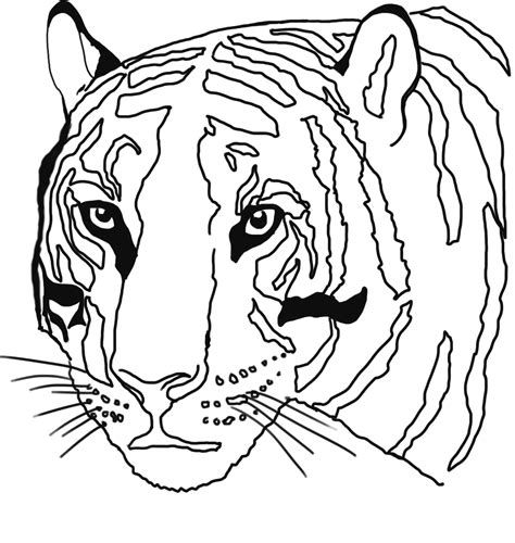 Tiger Coloring Pages