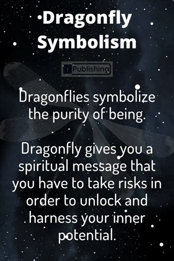 What Does It Mean When A Dragonfly Lands On You - Spiritual Symbolism