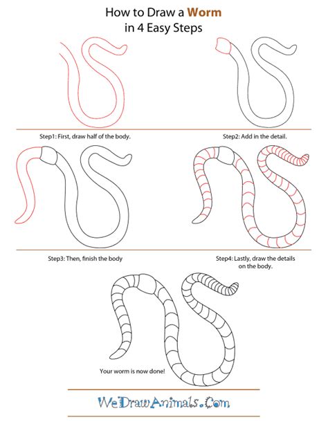 How to Draw a Worm