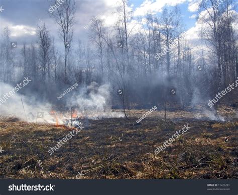 Smoke From Fire In Wood Stock Photo 11426281 : Shutterstock