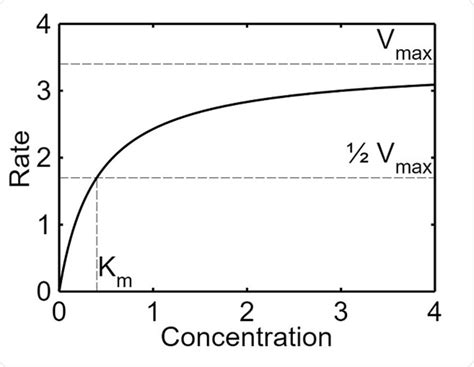 Enzyme Kinetics