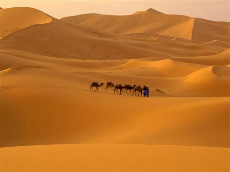 World Visits: Sahara Desert World Largest Hot desert