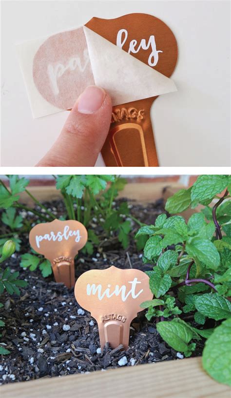 DIY Garden Markers - Angela Marie Made