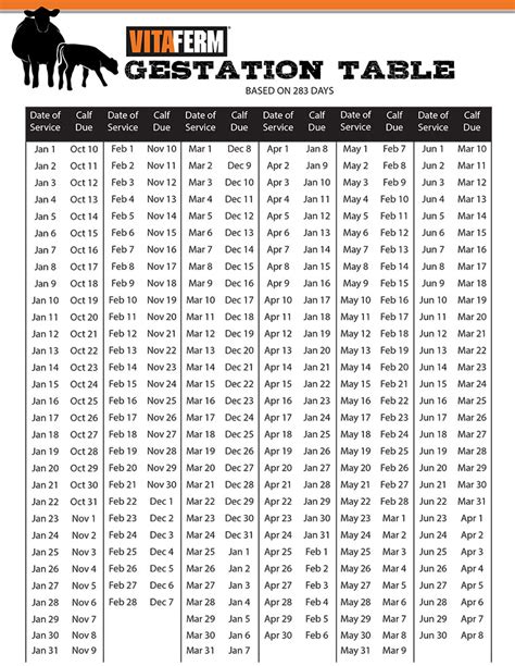 Cow Gestation Calculator | World of Printable and Chart