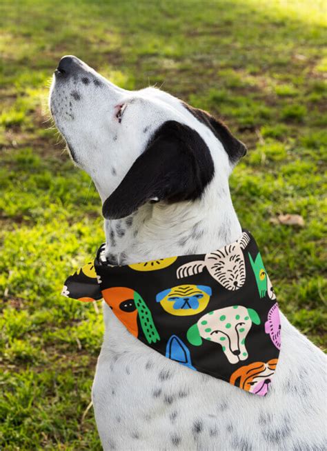 Design Personalized Dog Bandanas