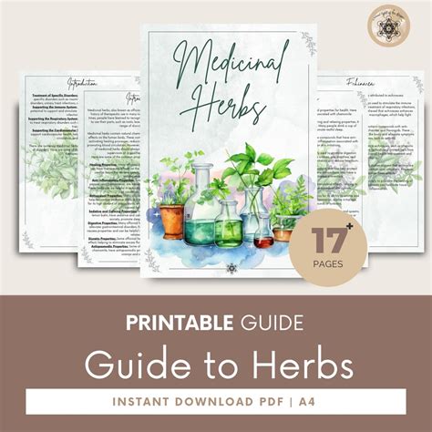 Printable Herbal Medicine Guide: A4 PDF on Medicinal Herbs, Herbal ...