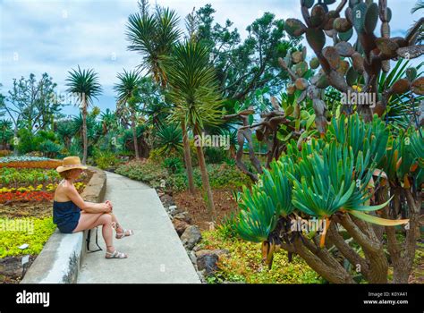 Madeira Botanical Gardens Stock Photo - Alamy