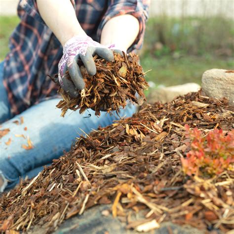 What Mulching Material Shoud You Use? Rural Mom