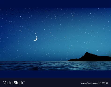 Blue Night Sky and sea with lots of Stars Vector Image